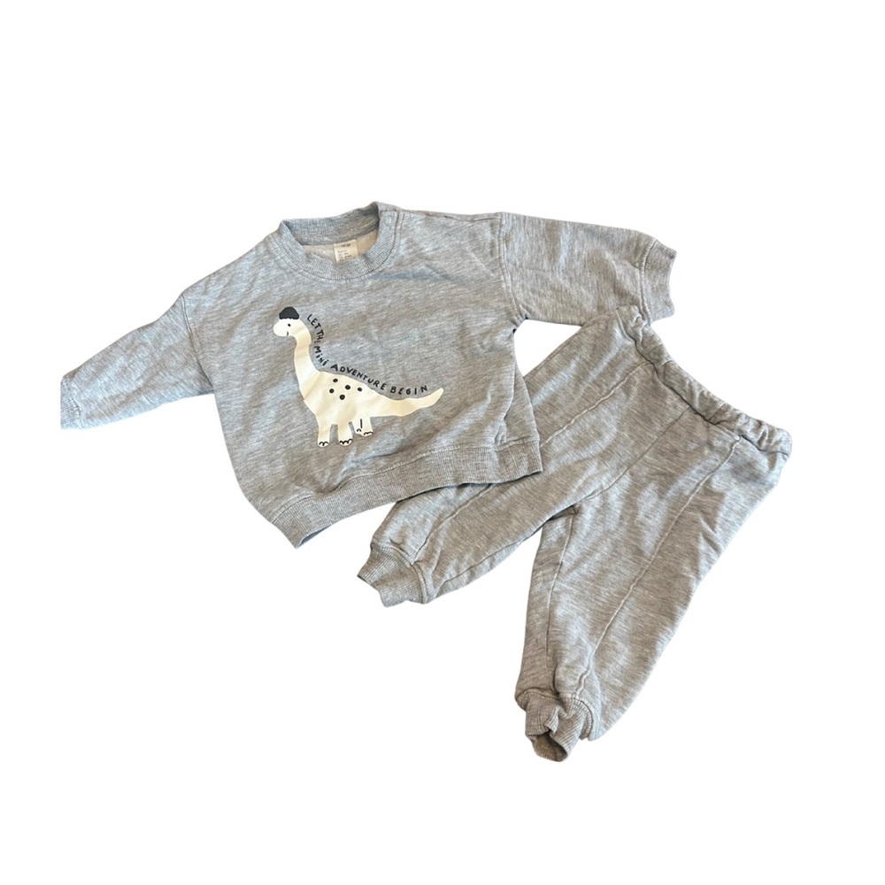 Gray Dinosaur Infant 2 piece set - 9 months